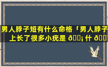 男人脖子短有什么命格「男人脖子上长了很多小疣是 🐡 什 🐼 么原因」